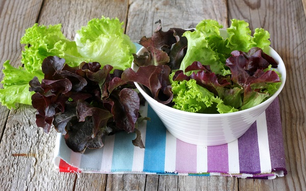 Insalata riccia