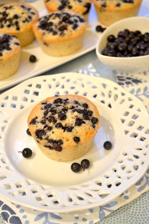 Tortini delicati ai mirtilli