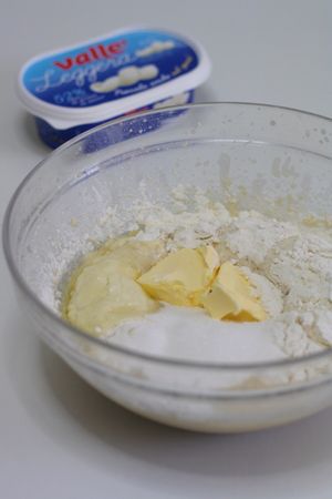 Treccia russa: lasciar lievitare l'impasto