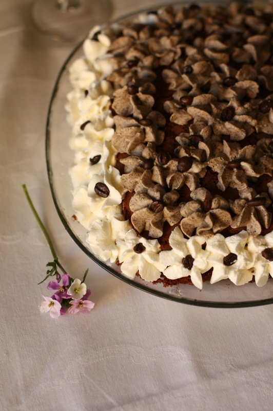 Torta al cioccolato con mascarpone e caffè