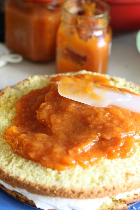 Torta primavera con marmellata: spalmare la marmellata