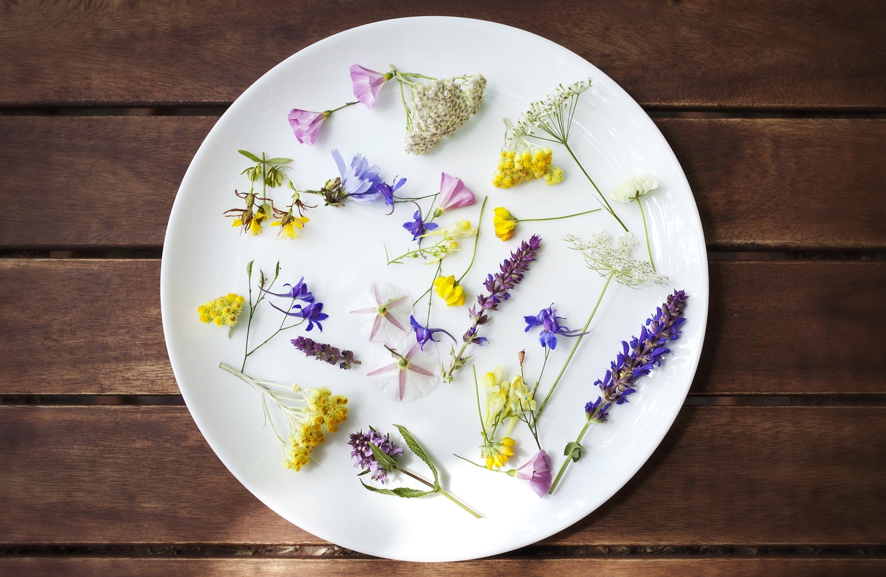Fiori eduli: esplode in primavera 2018 la moda dei fiori da mangiare!