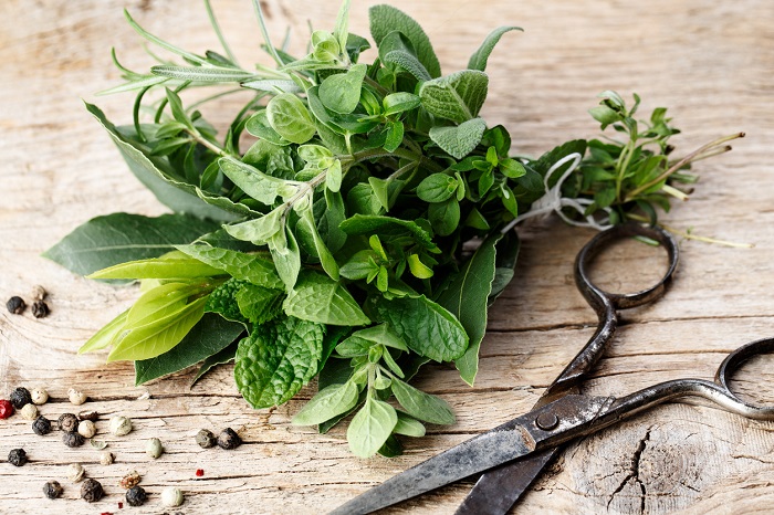 Piante aromatiche da balcone