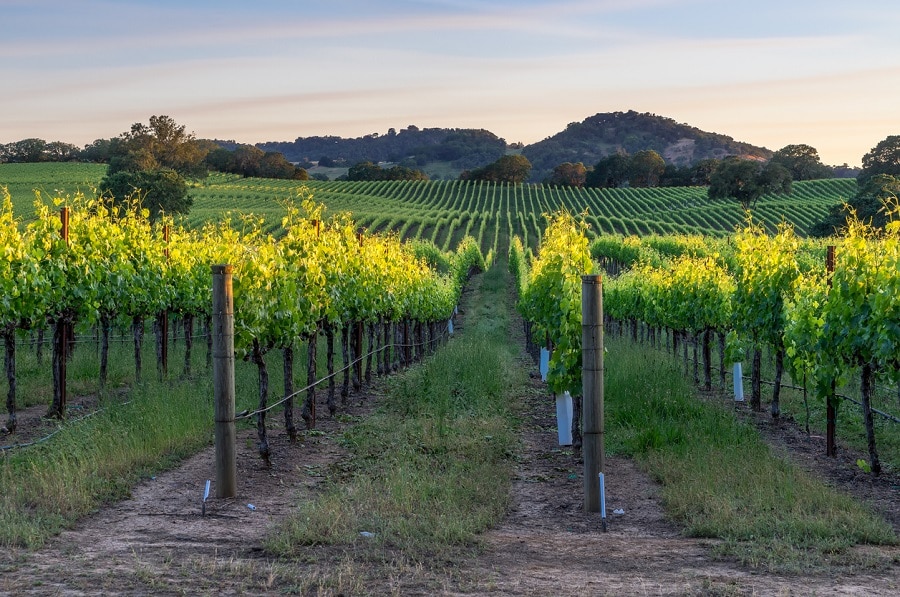 Sonoma Dieta
