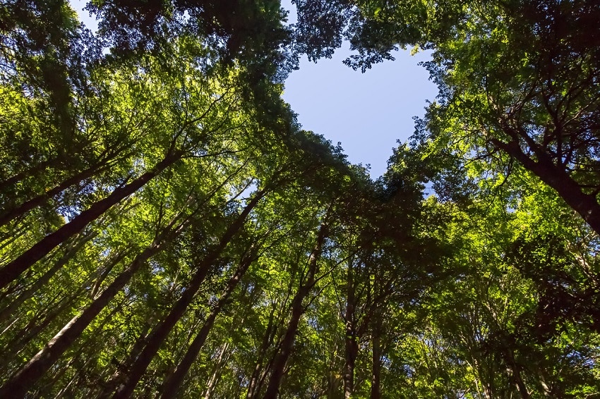 Rispettare Ambiente
