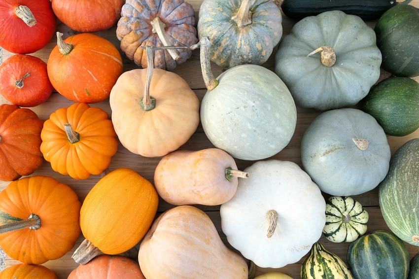 Benefici zucca