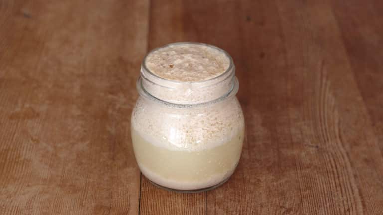 Panini alla curcuma - 1