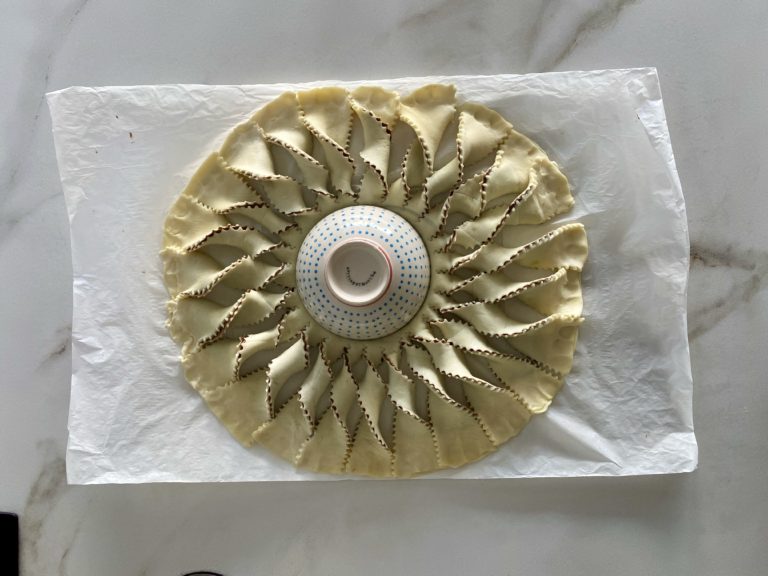 girasole 8